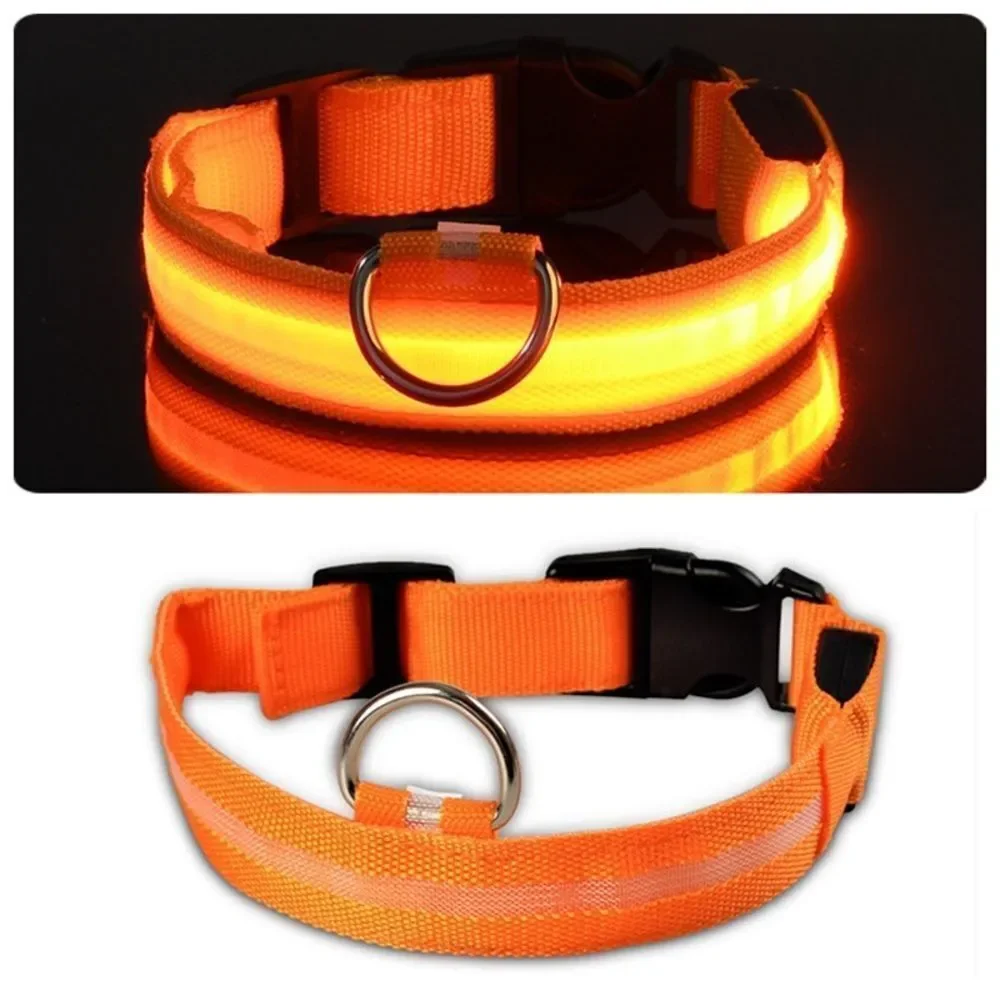 ⛔️CLEARANCE ⛔️LED Night Jog Dog Collar